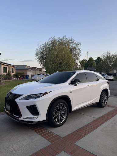 Photo from customer review